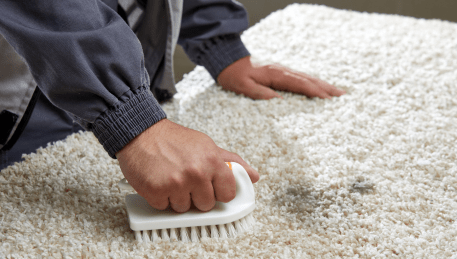 Professional Rug Cleaning Mount Egerton